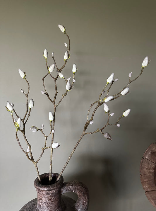 Magnolia tak 123cm