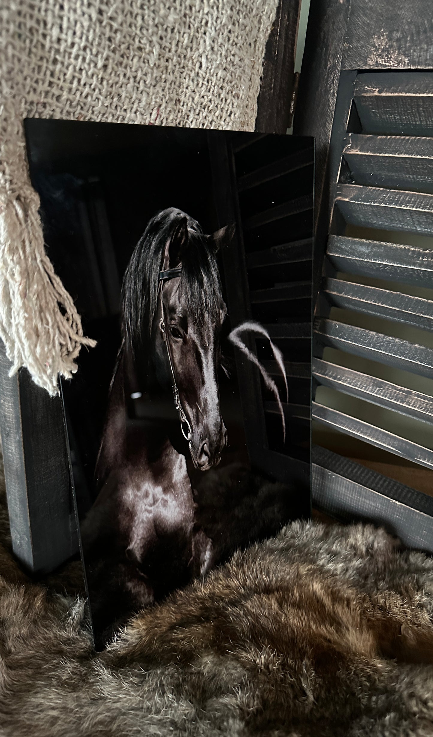 Afbeelding paard op glasplaat 2