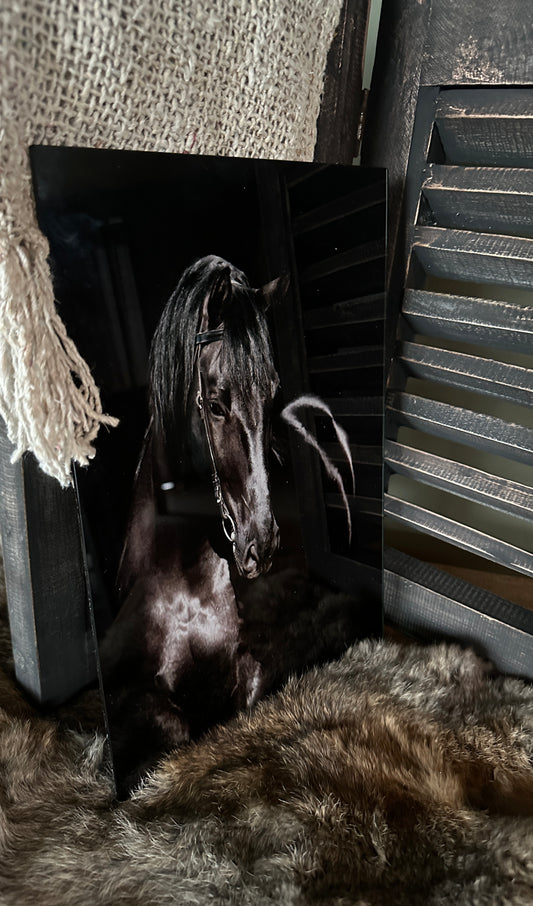 Afbeelding paard op glasplaat 2