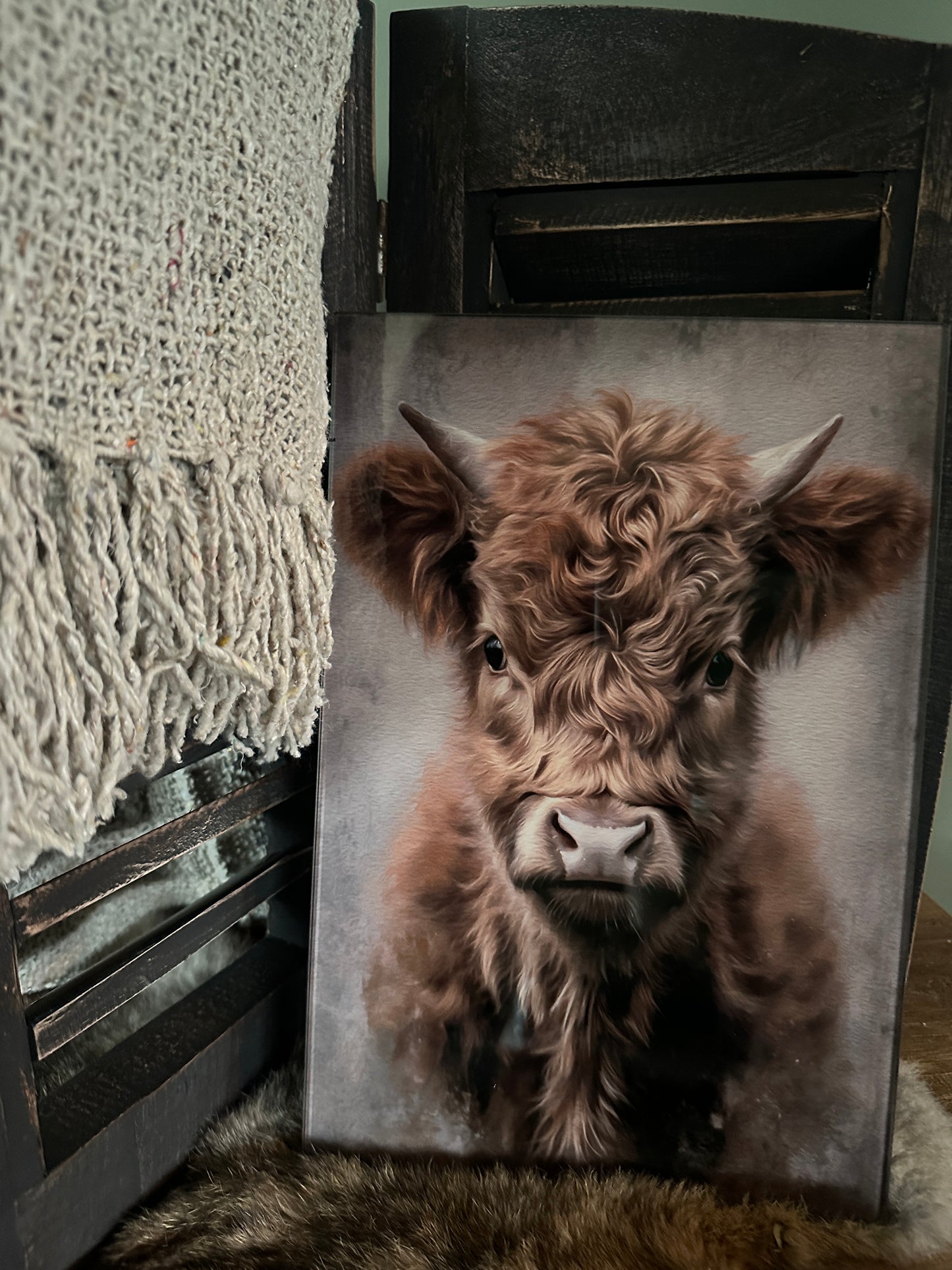 Afbeelding Schotse hooglander kalf op glasplaat