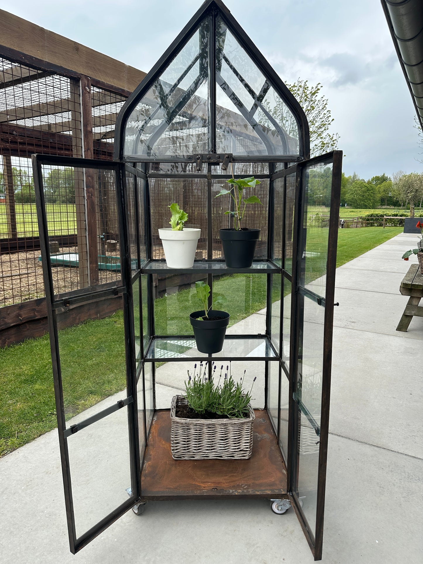 Greenhouse franse tuinkas druivenkas sfeerstal69